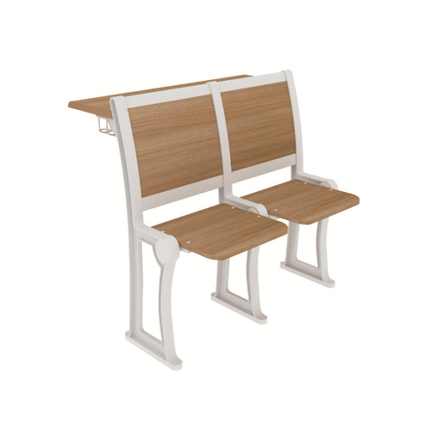 Ergonomic Lecture Hall Seating