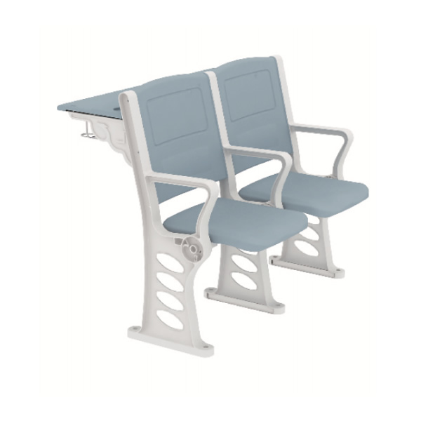Tiered Lecture Seating with Writing Surface