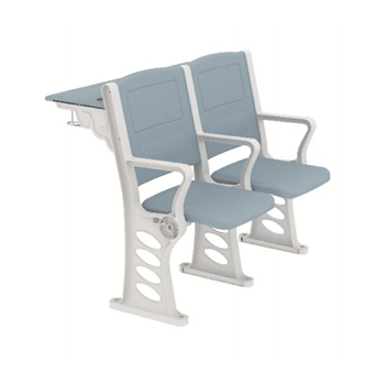Tiered Lecture Seating with Writing Surface