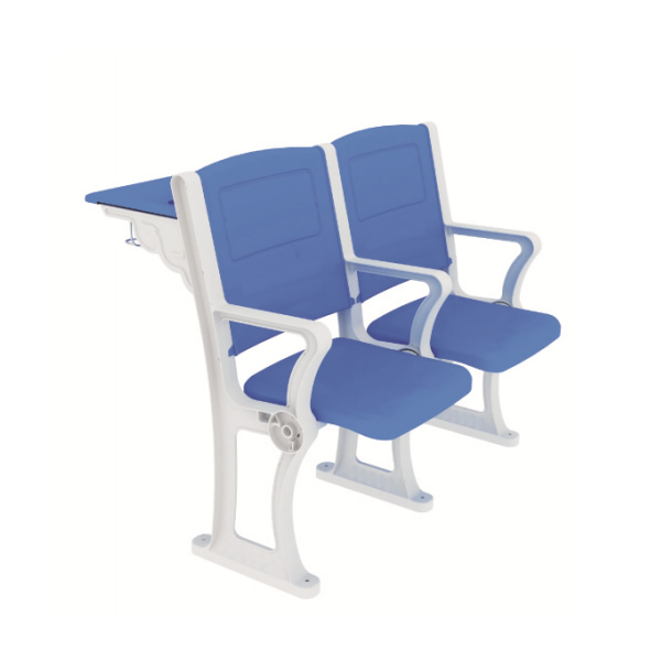 School Lecture Hall Seating